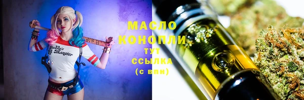 прущие грибы Балахна