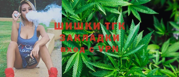 прущие грибы Балахна