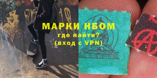 прущие грибы Балахна