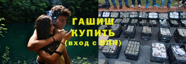 прущие грибы Балахна
