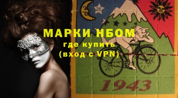 прущие грибы Балахна